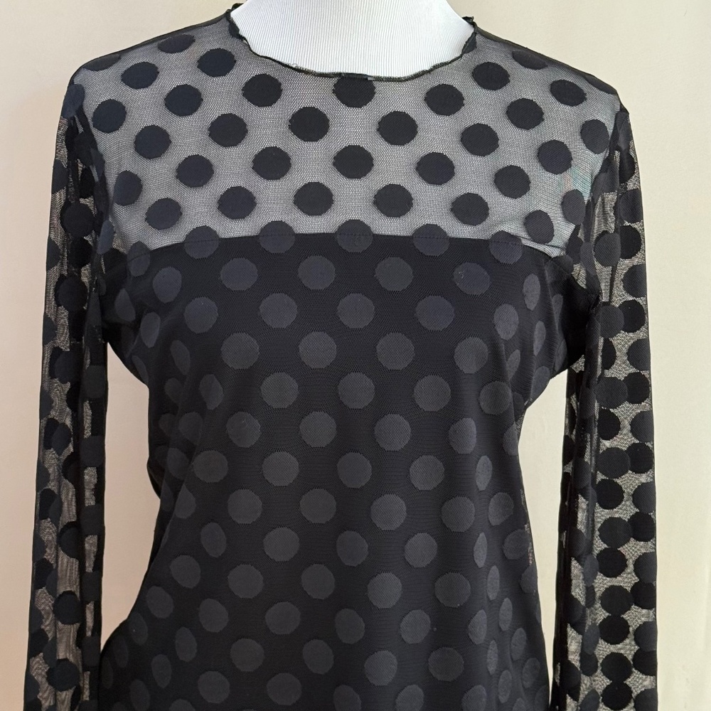 Elegant Akris Punto Sheer Polka Dot Blouse